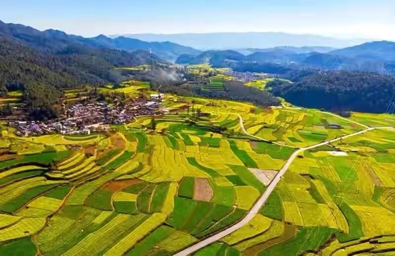 2022年春节云南免费景区,云南春节最合适的景点是哪些