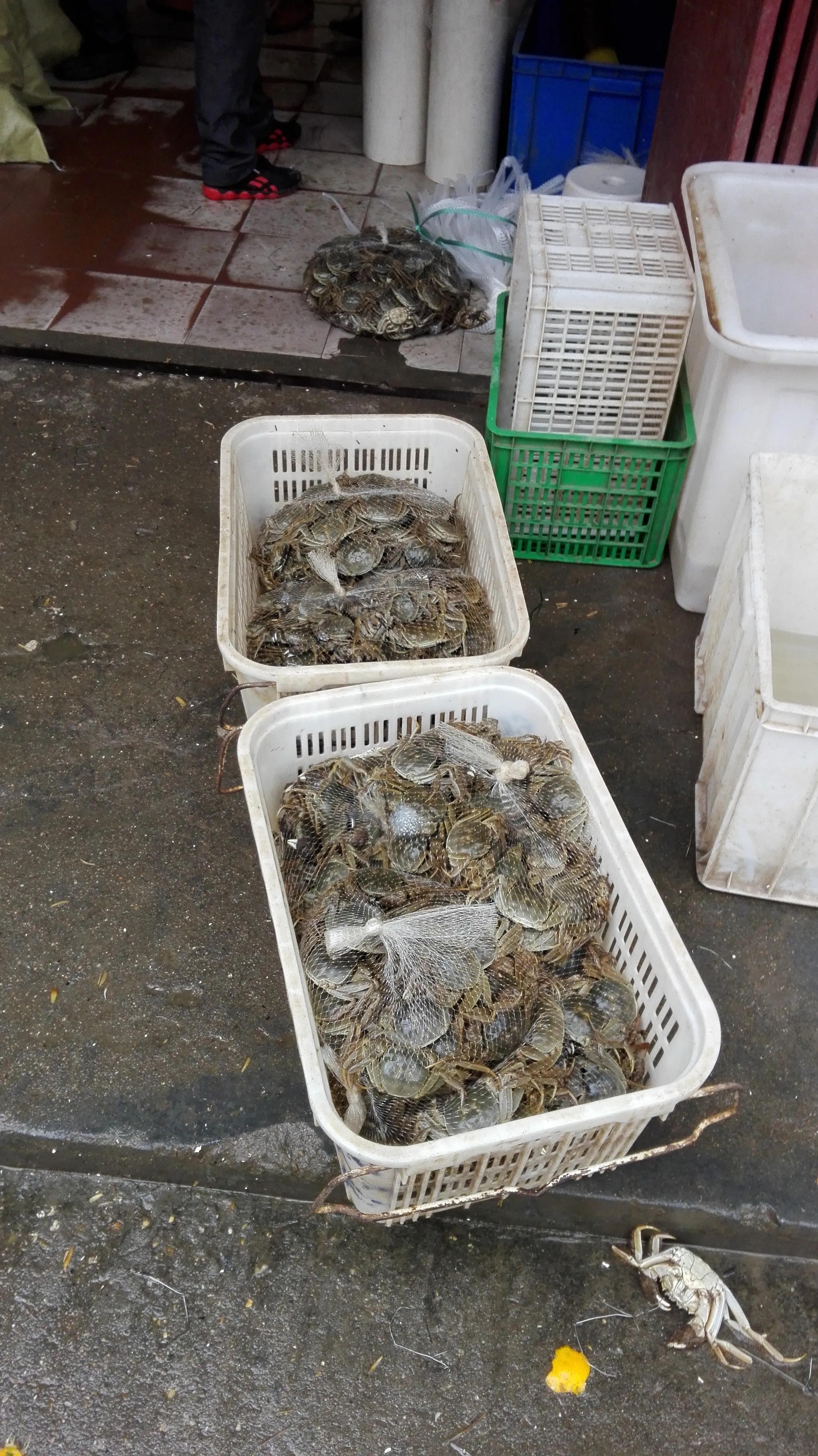 烟雨岳阳楼|一个人的三山五岳行1