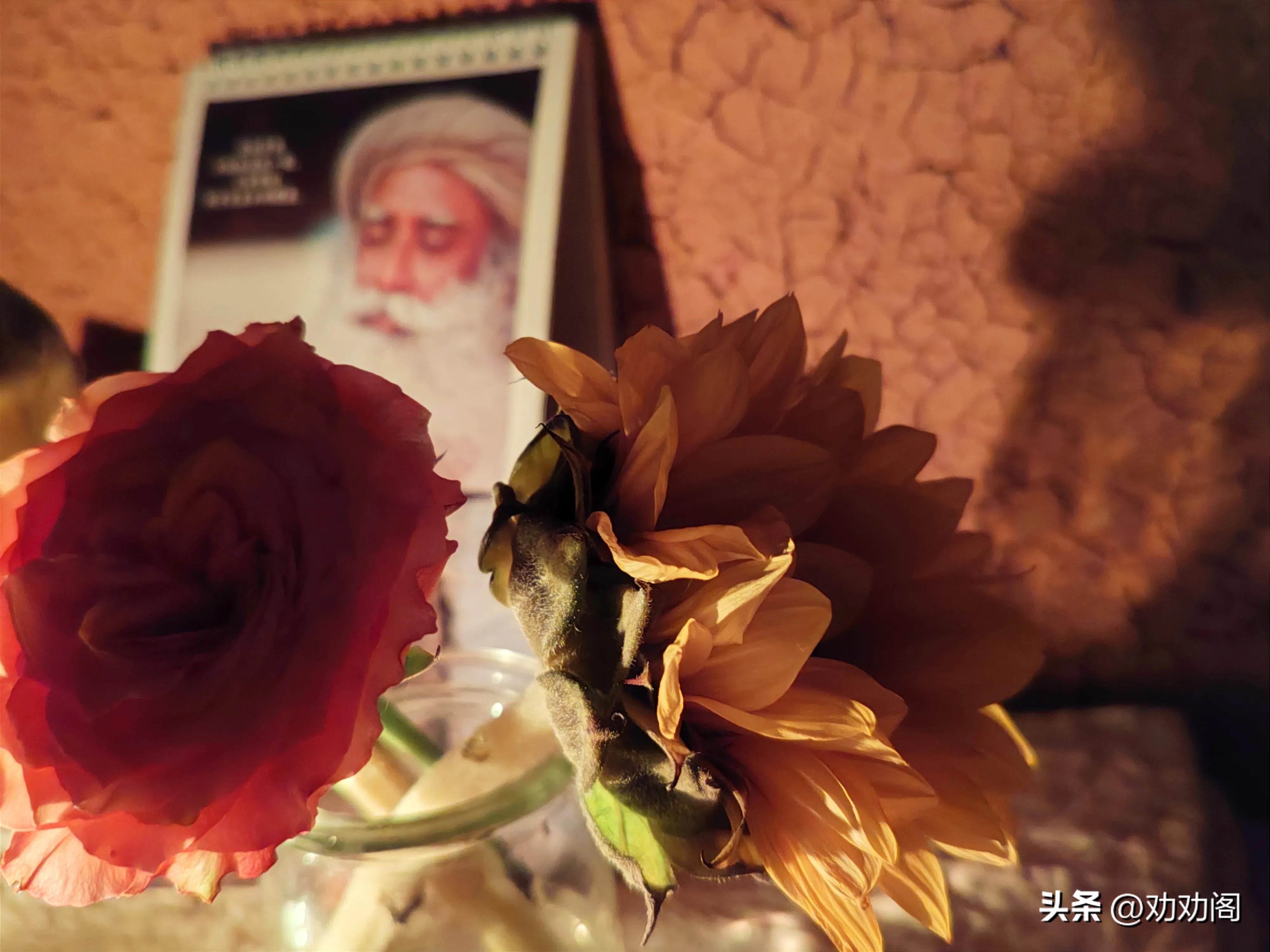 如何能静静地坐着？