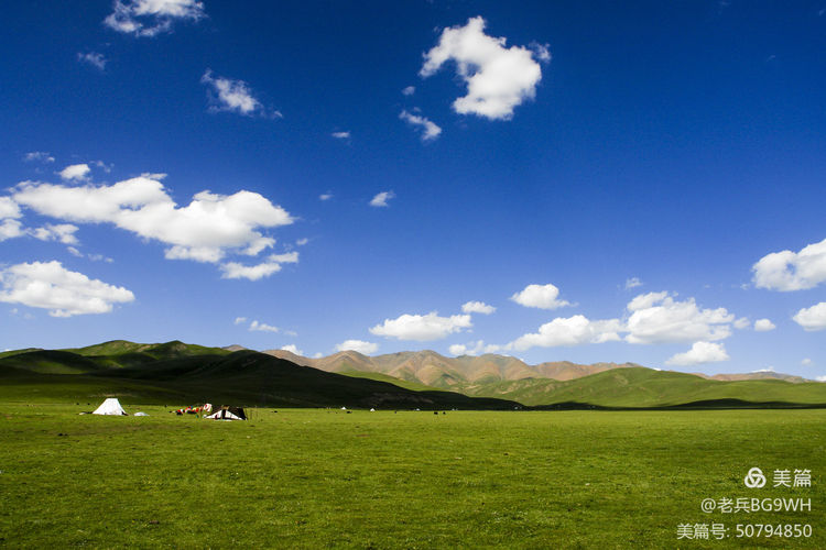 祁连山草原哪里最美,祁连山深处草原