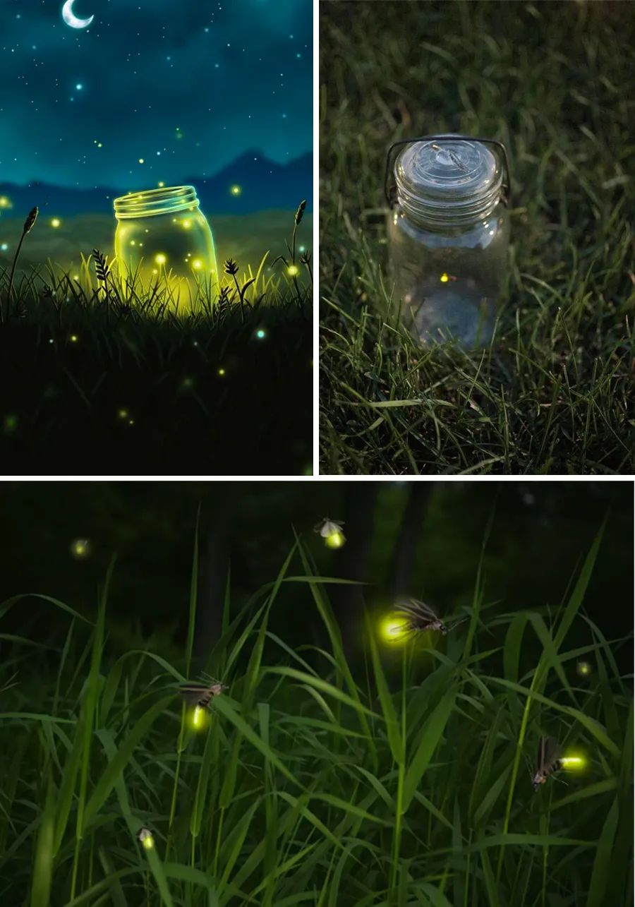 萤火虫的画法儿童画,夜晚怎么画简单又漂亮萤火虫