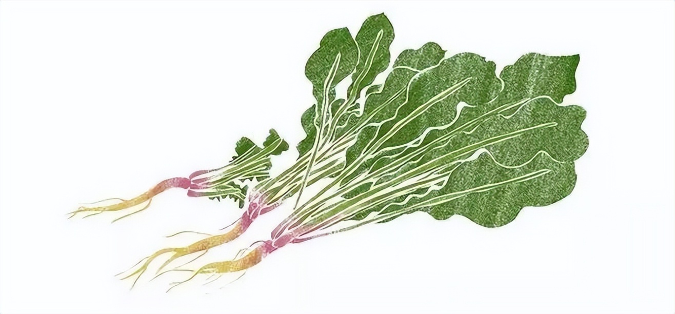 白衬衫t恤发黄怎么洗白,t恤衬衫发黄