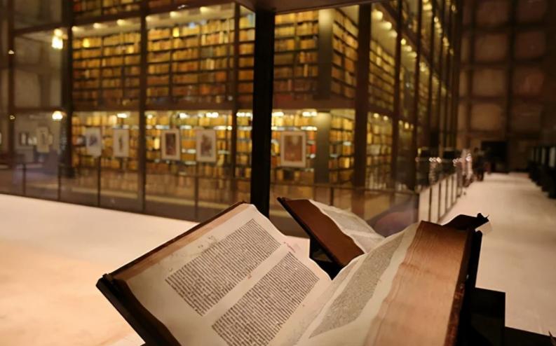 社会学专业其实很好,学社会学专业有出路吗