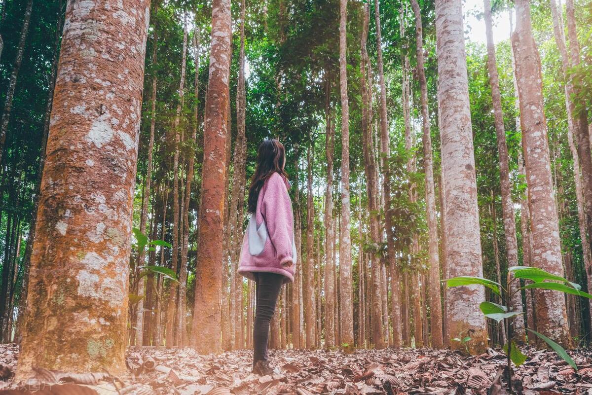 夏季旅游推荐3-4天游,夏天旅游攻略国内推荐3到4天