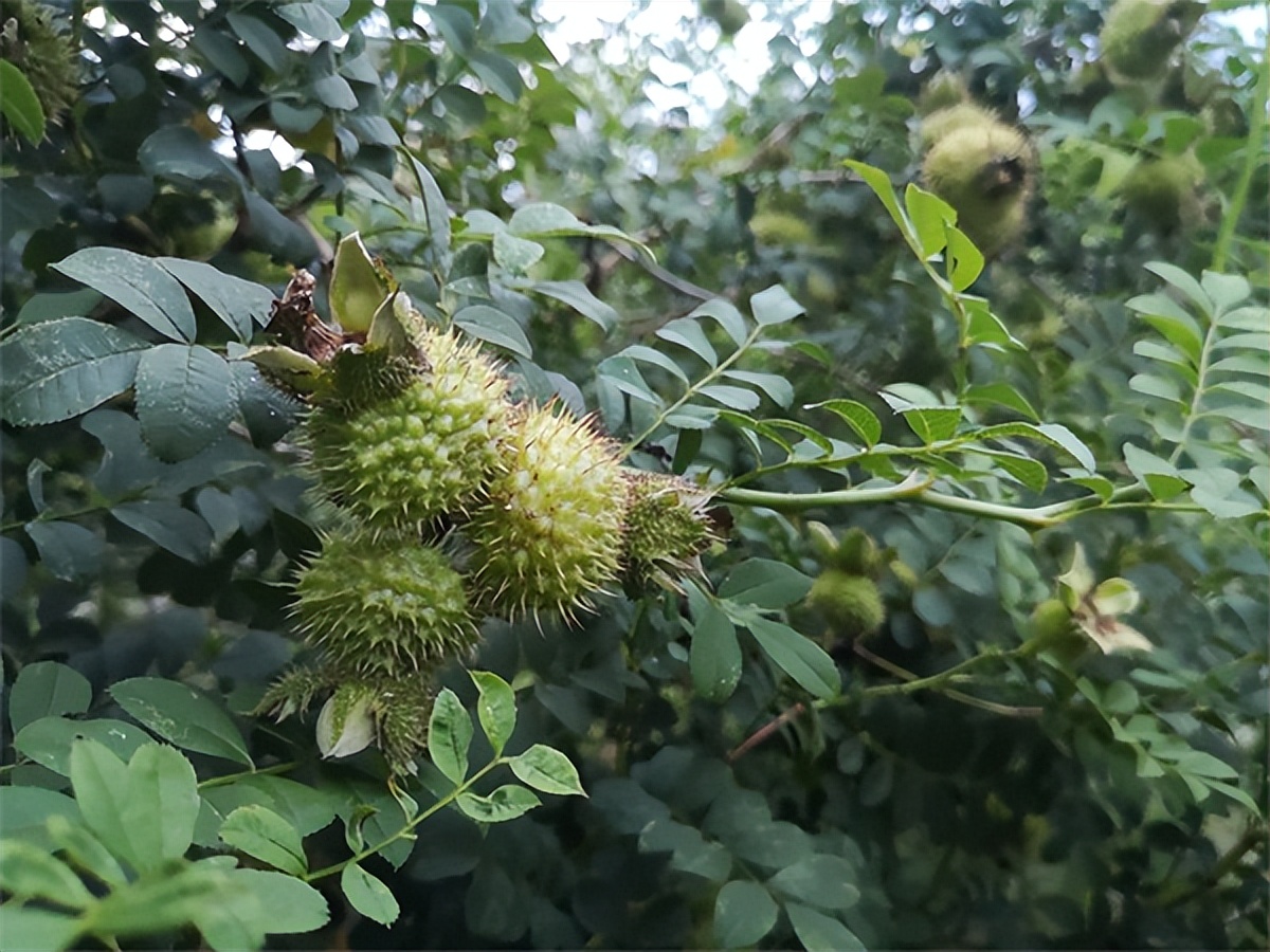 贵阳遵义直达香港,遵义高铁直达香港