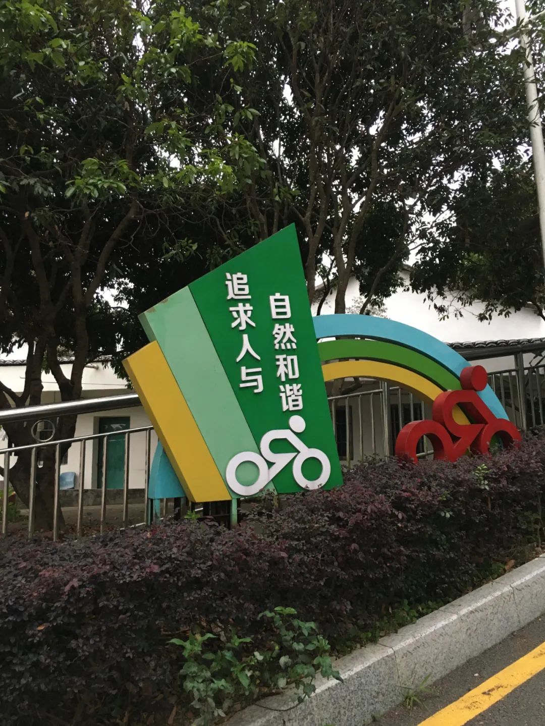 旭光车行雅迪电动车,旭光单车