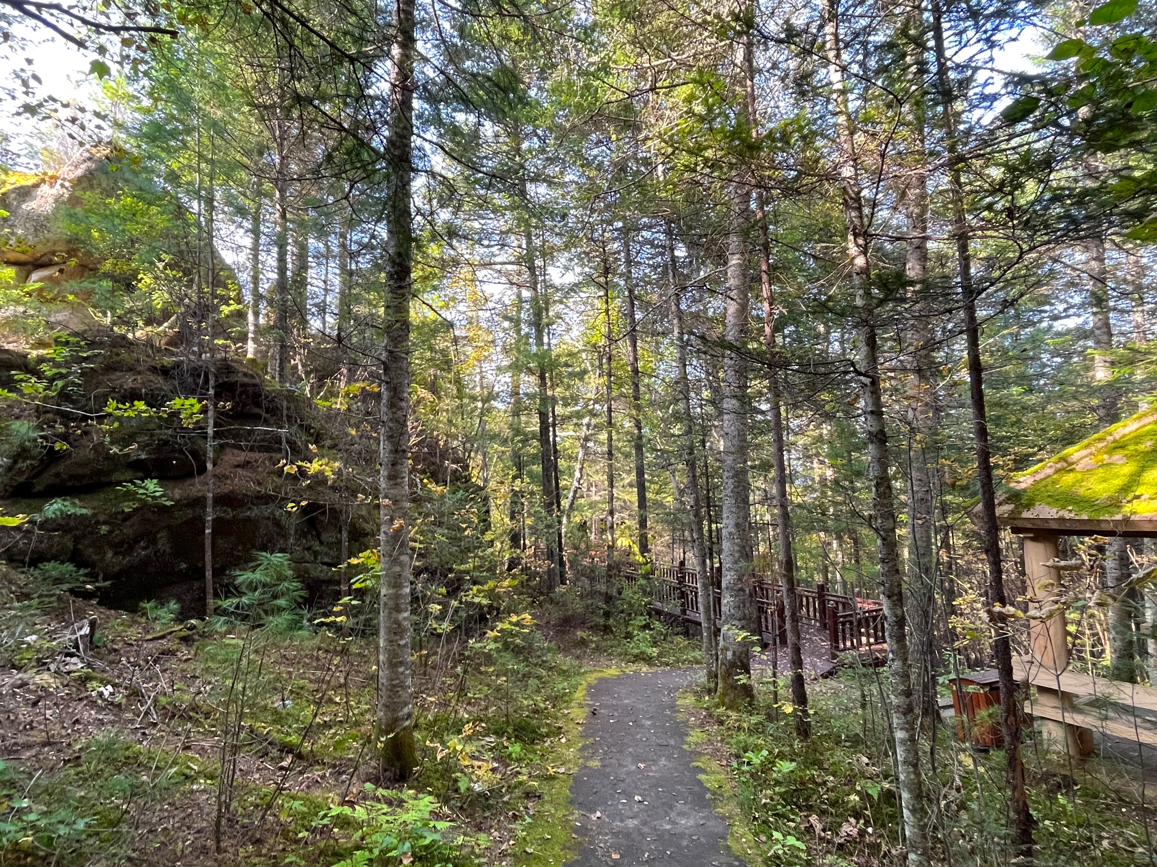 夫妻自驾11000公里,夫妻两人自驾游最新视频