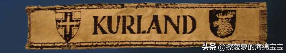 霍尔姆盾章二战德国,二战德国军奖章