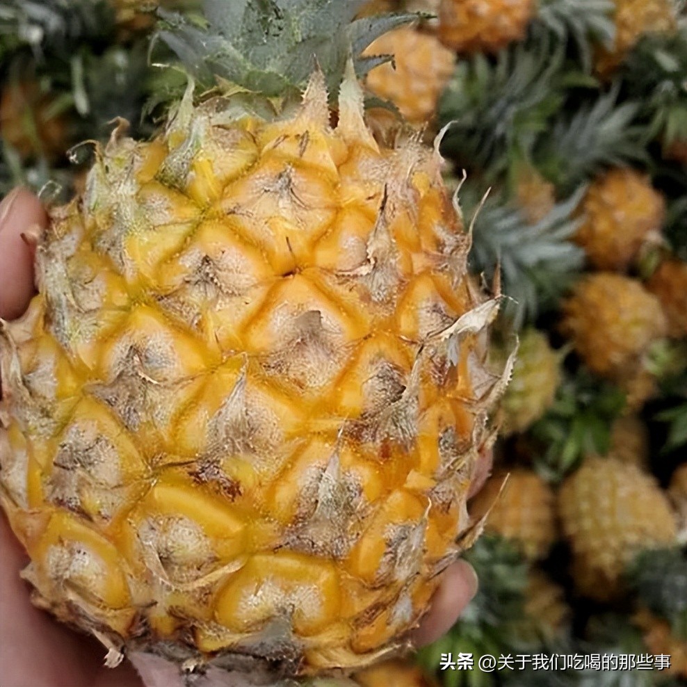 菠萝从外表看过去哪样的最甜不烂,菠萝看里面甜不甜