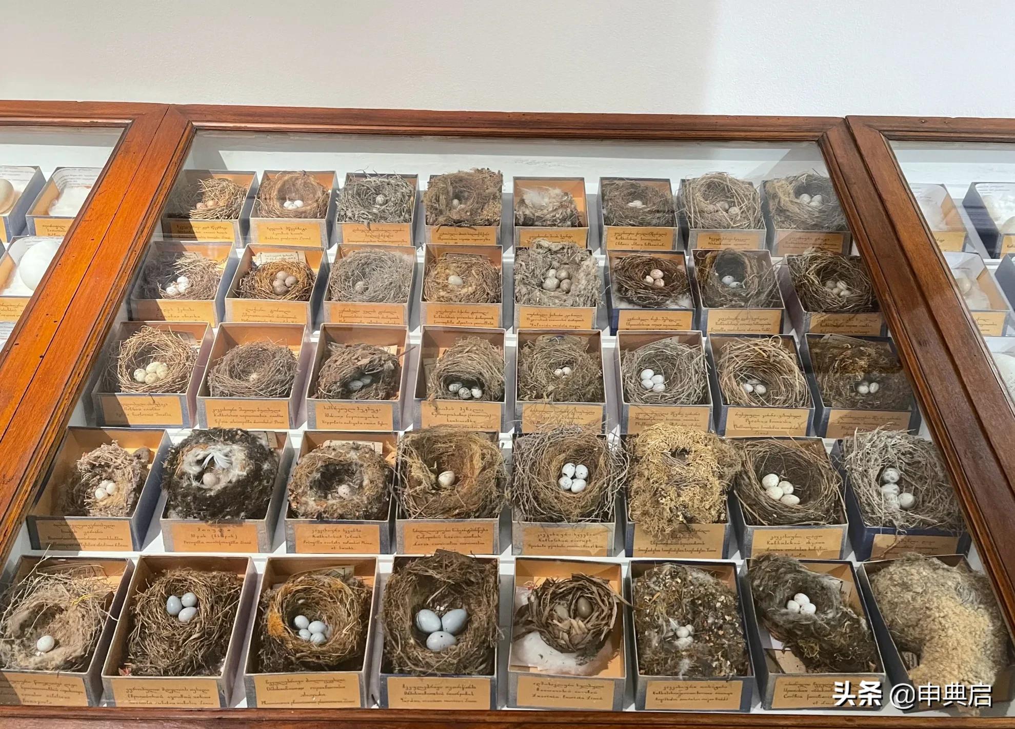 带小花园的目前看到最豪华墓地在格鲁吉亚，人均土地资源相当丰富