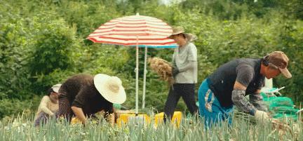 那些压箱底的电视剧,高开高走的韩剧新剧