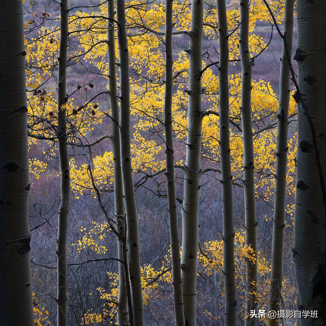 手机拍照零基础入门摄影技巧,你也可以轻松拍出电影感的照片