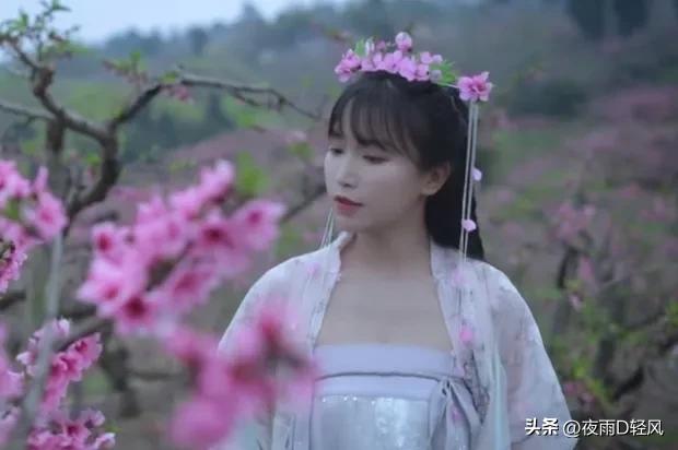 李子柒还能复出嘛,李子柒复出还能东山再起吗