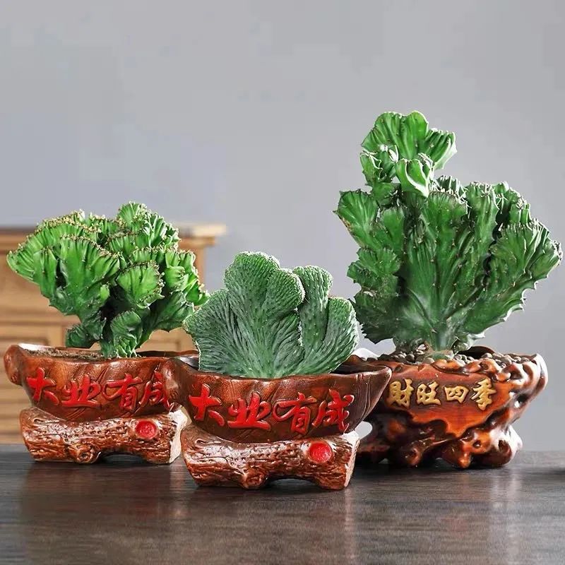 五种最丑的花排名,十大丑花