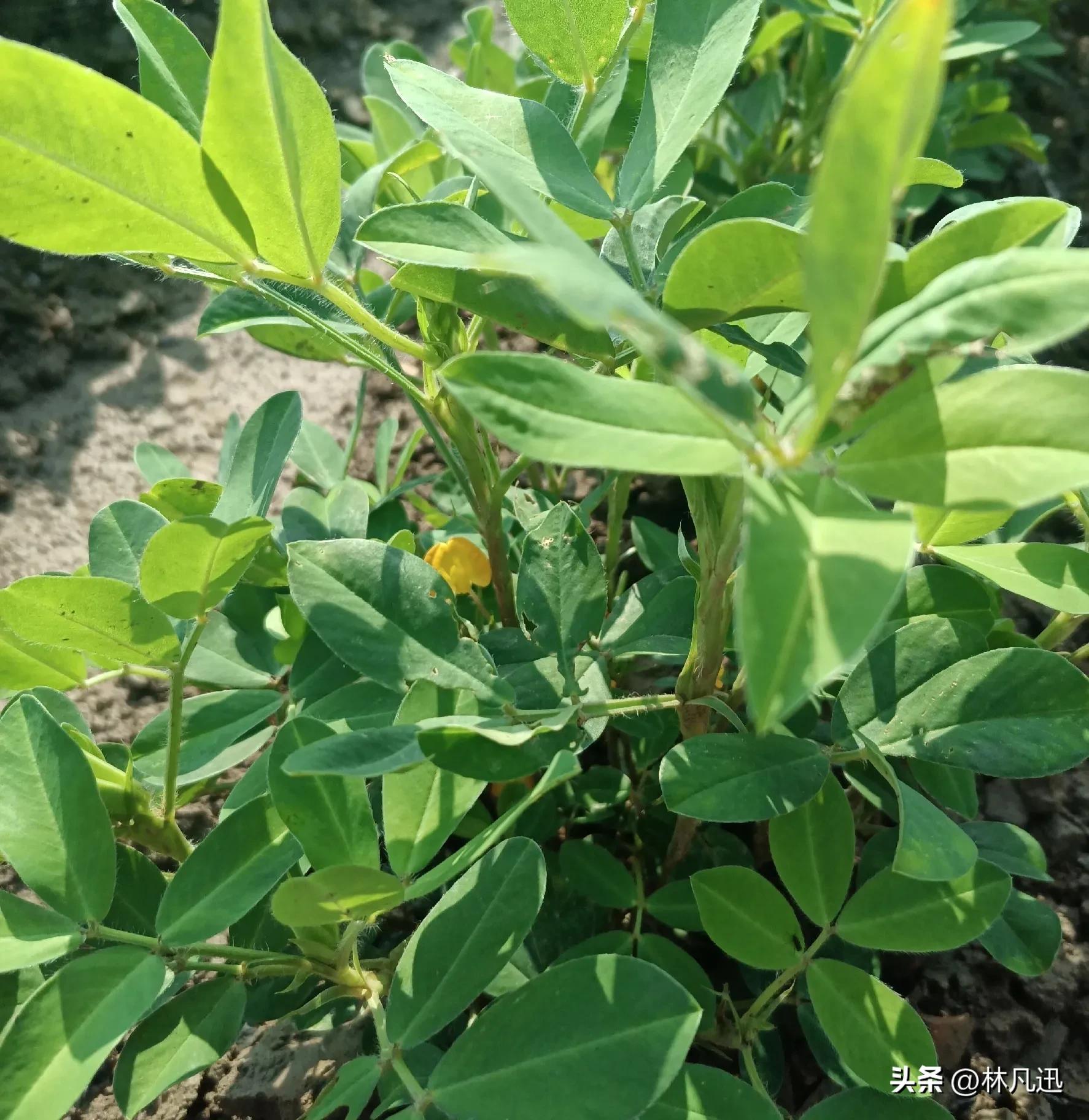 低调赚钱慢慢变富,慢慢变富和快速赚钱