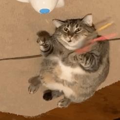 可以吊打付费模组的免费模组,建议收藏吊打付费的几款神级软件