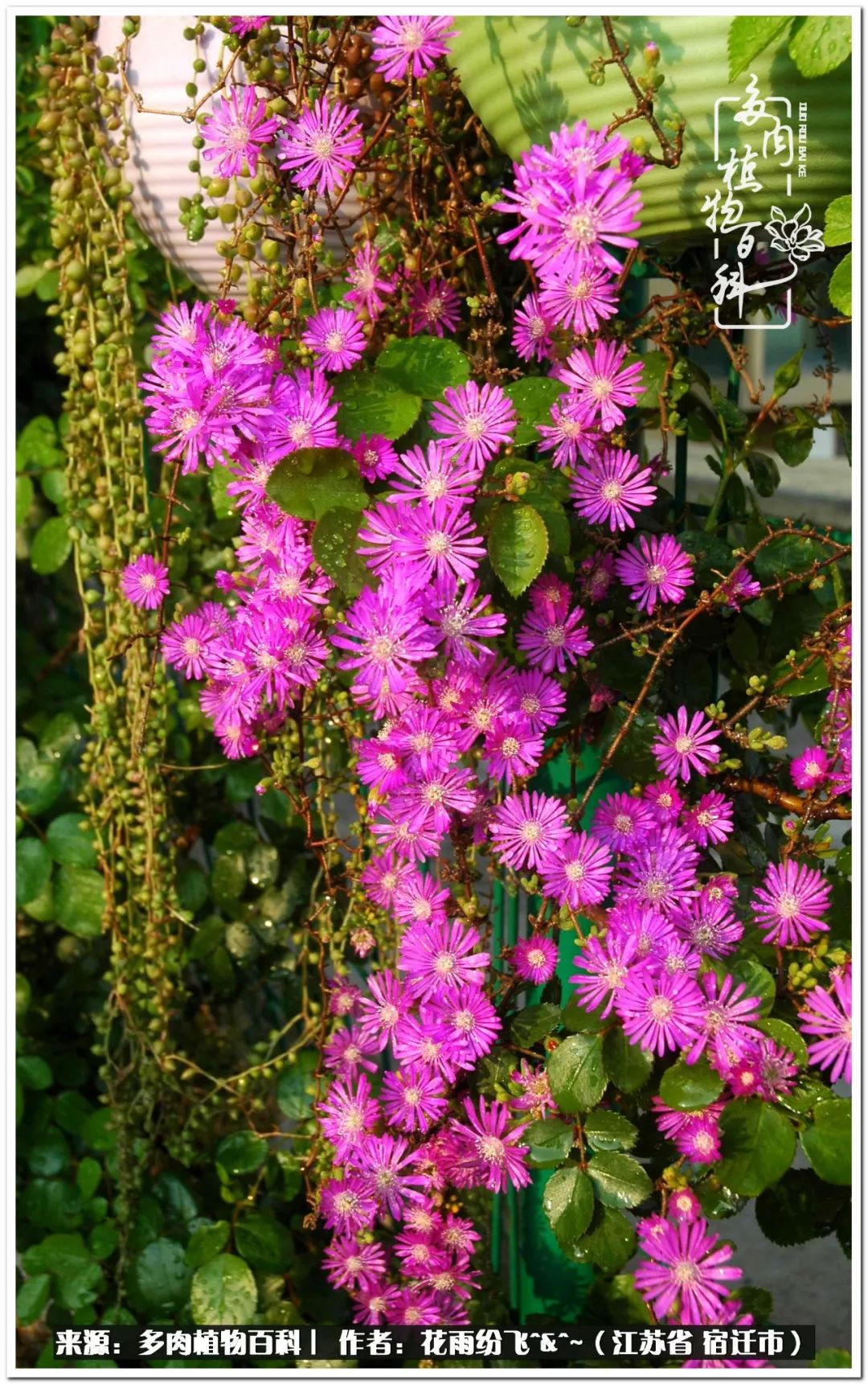 回味童年无忧无虑的快乐时光,童年最快乐的时光