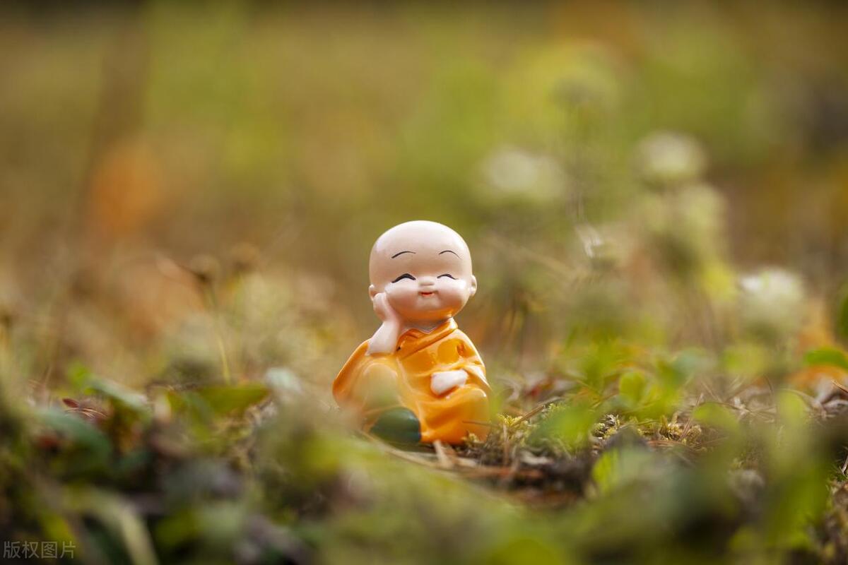 散文夏日荷花,荷花与禅意的唯美散文