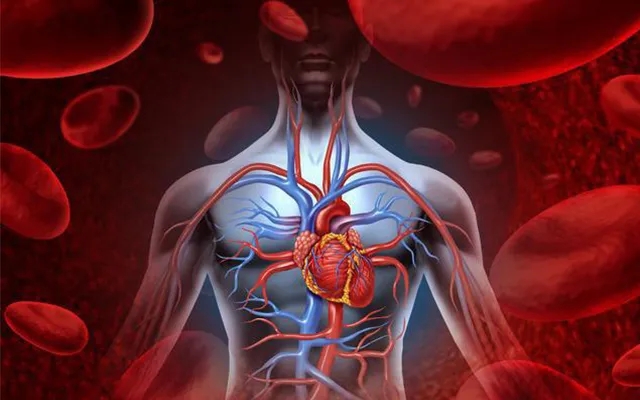 天冷就出现过敏性紫癜怎么去预防,过敏性紫癜的日常护理方法