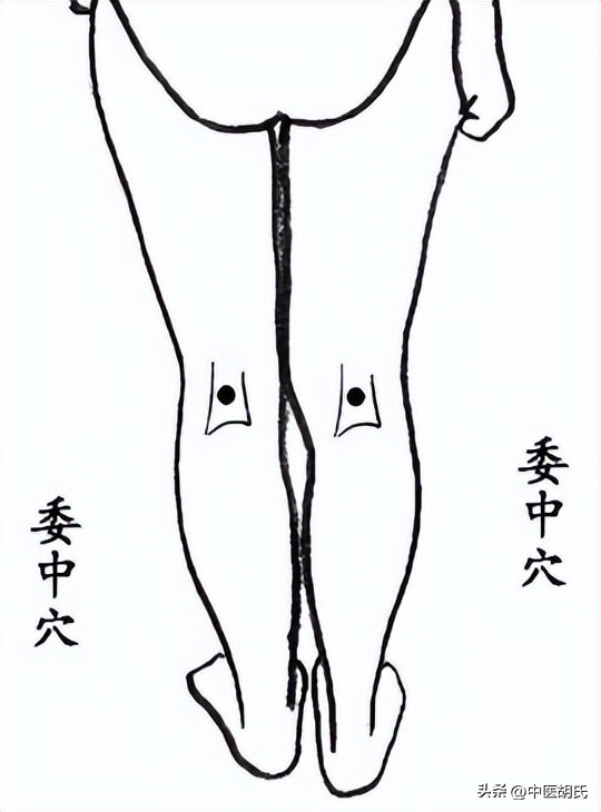 中医对提高免疫力的理解,提高免疫力中医怎么调理