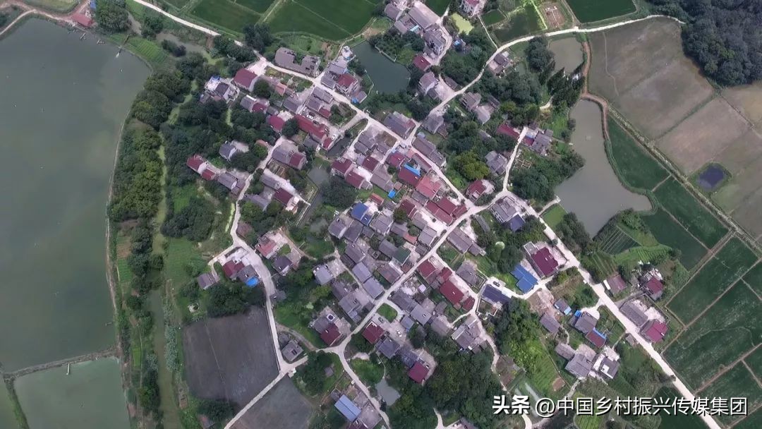 乡村振兴扶持项目在哪里申报,2023年乡村振兴项目补贴申报指南