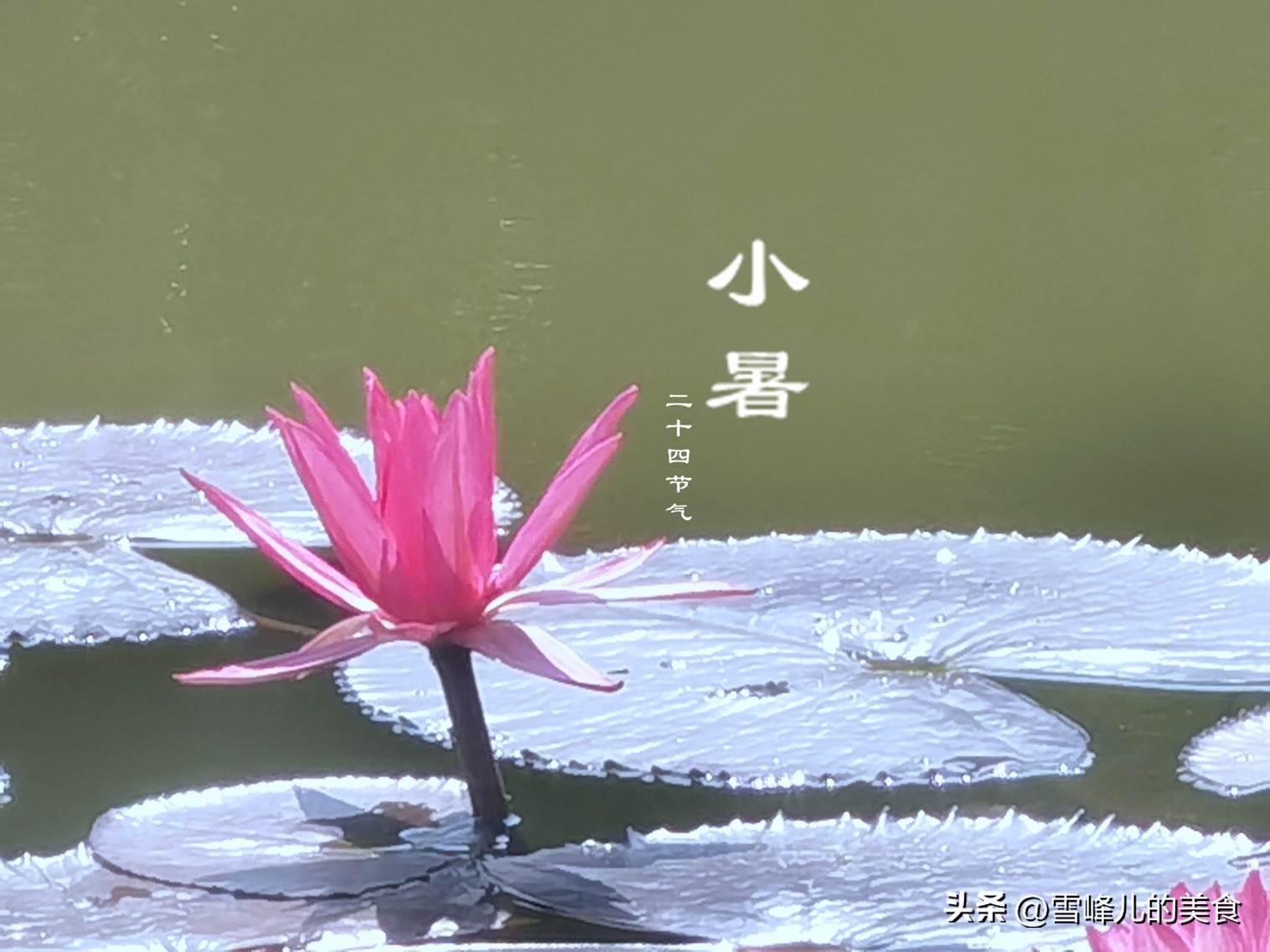 夏季小暑适合吃什么,三伏天大暑适合吃什么