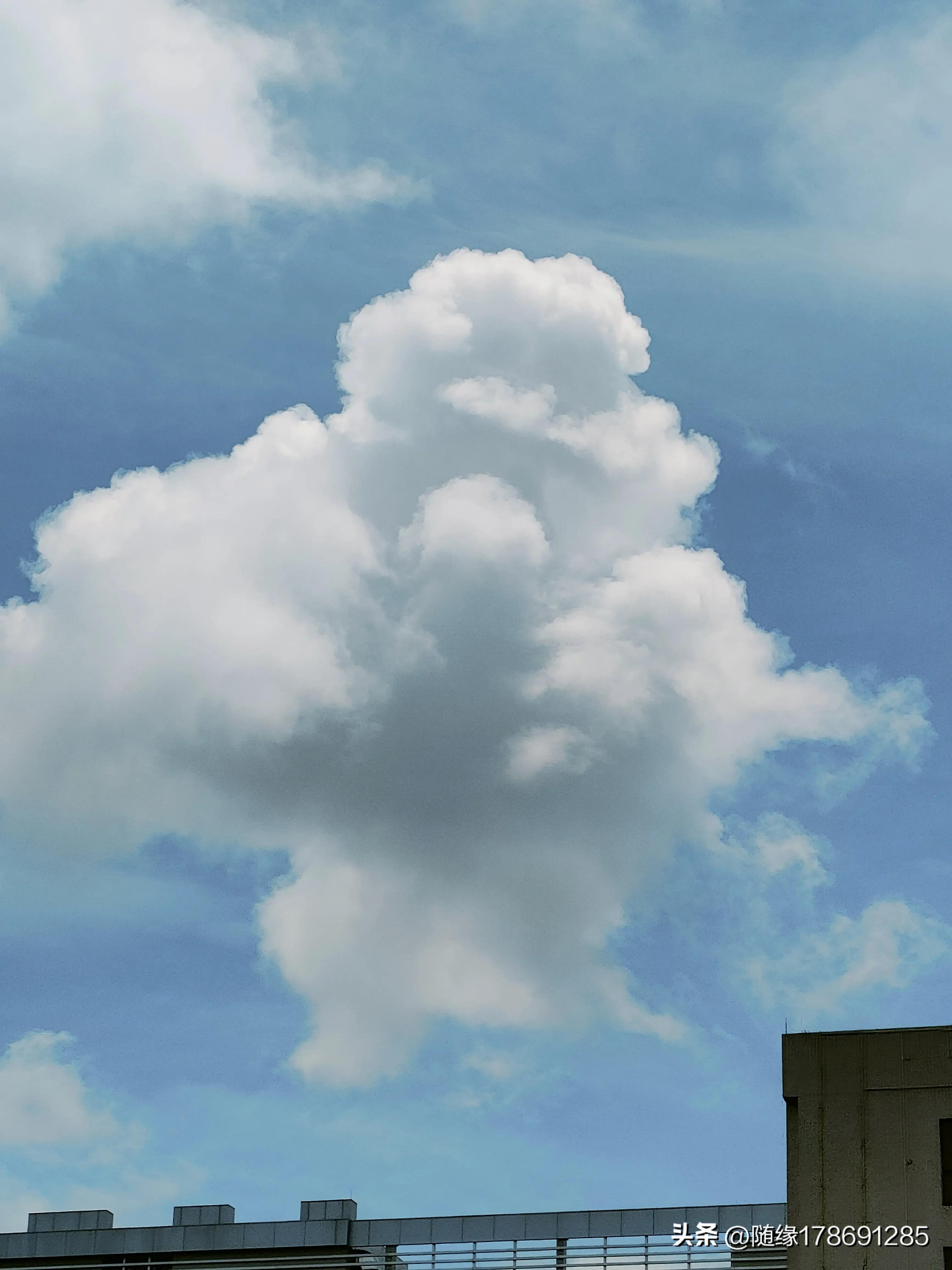 云游潮汕,汕头金砂中路公园