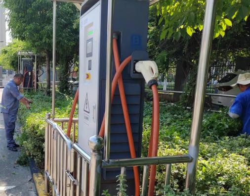 小区绿化养护日常管理方案,小区园林绿化养护知识