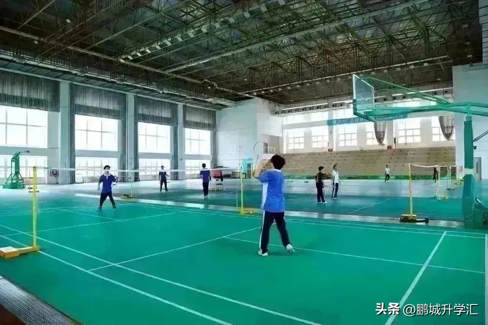 2024年深圳高中校园开放日,深圳市校园开放日