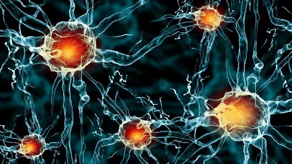 上了年纪浑身无力是怎么回事,53岁腿无力是什么原因