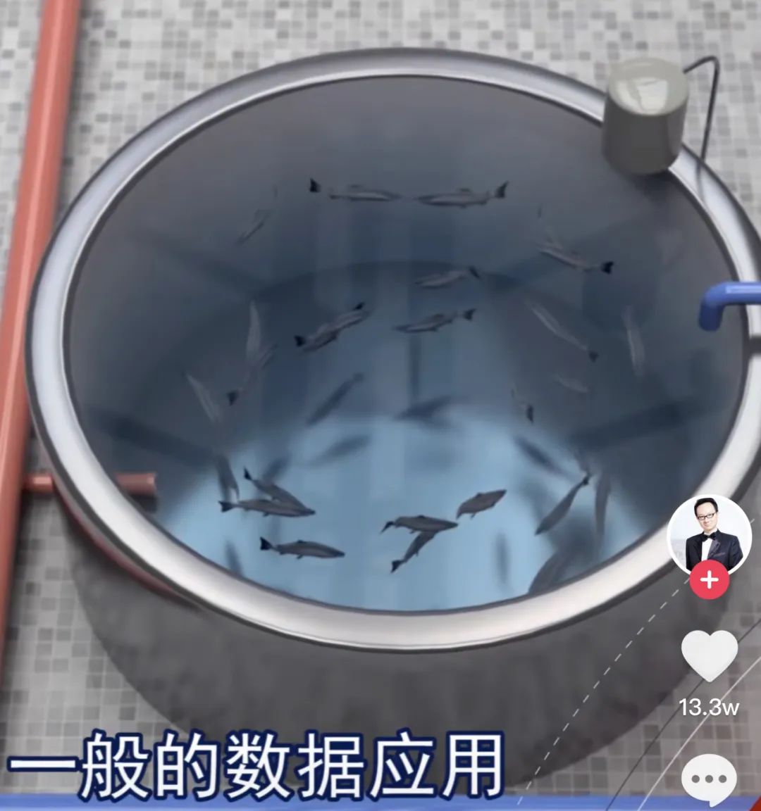 鱼群被套路了，以为自己是野生的|科技袁人