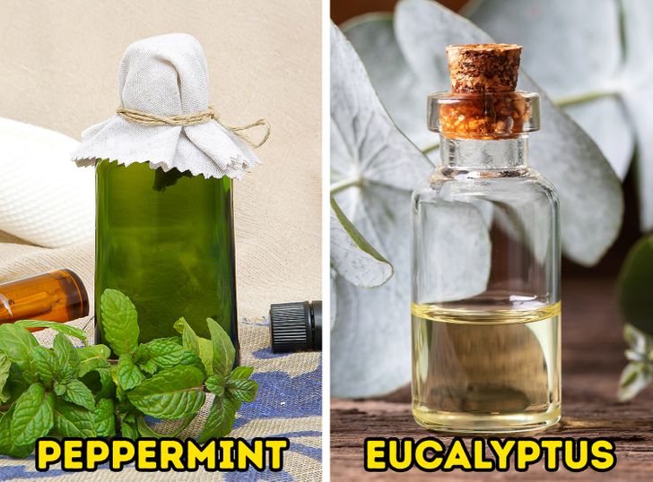 感冒鼻子堵了怎么办如何通鼻子,宝宝感冒鼻子堵了该怎么疏通