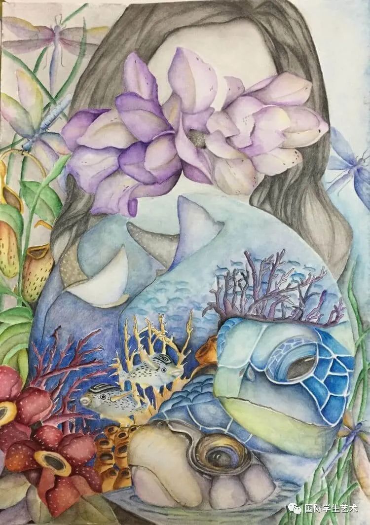 1月24日截止丨EarthX-美国2023年国际生态艺术大赛