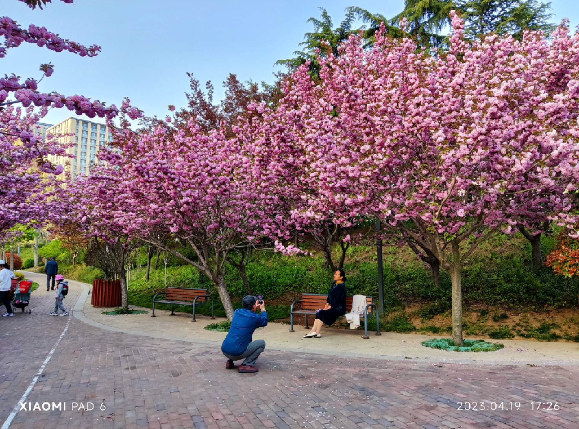 小米平板6系列首发开箱,小米平板6系列开箱测评