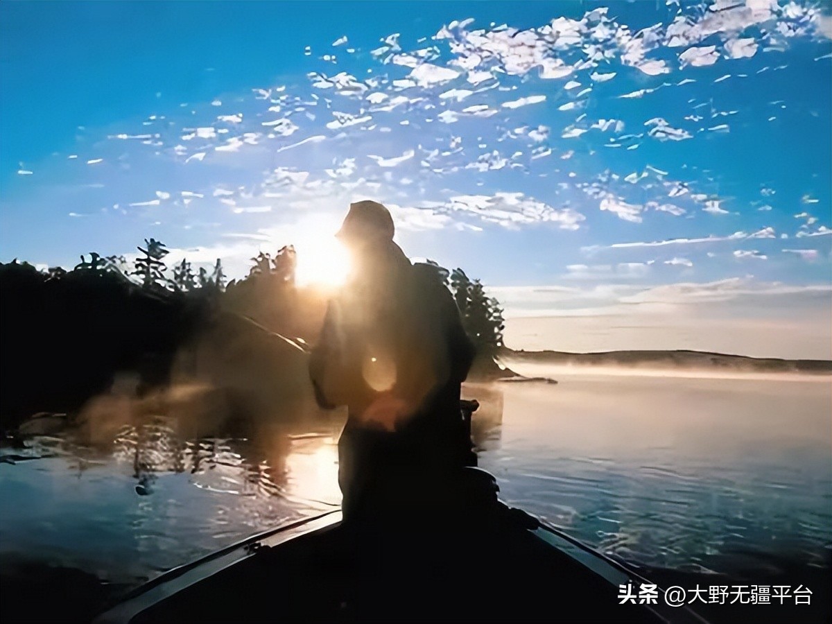 小说钓鱼执法完整版,小说钓鱼系统