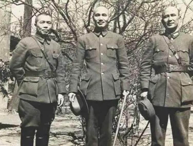 认祖归宗的姐弟俩苦尽甘来,一对双胞胎为啥会有两个爹