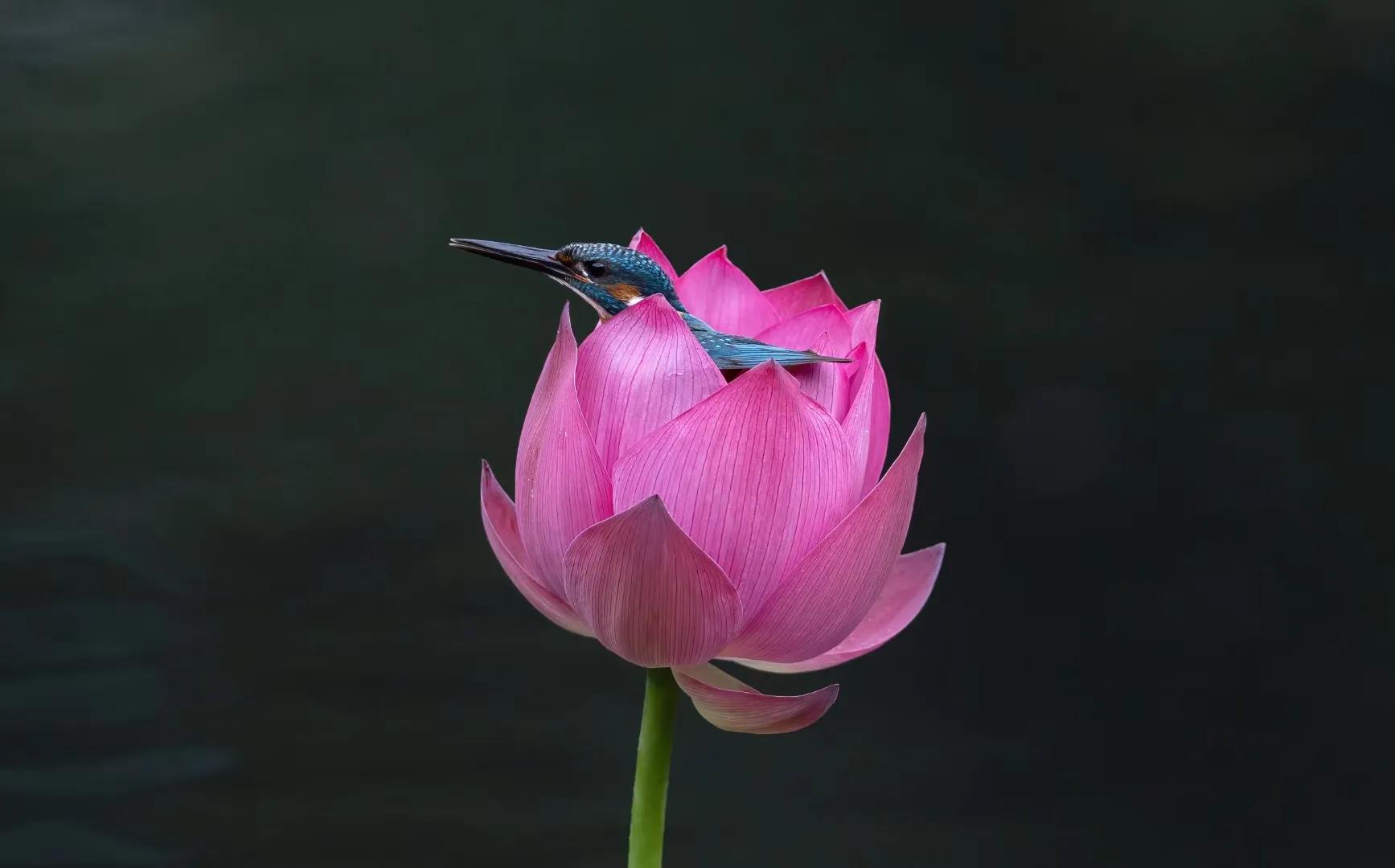 京杭大运河在哪里穿过黄河,京杭大运河怎么过长江的