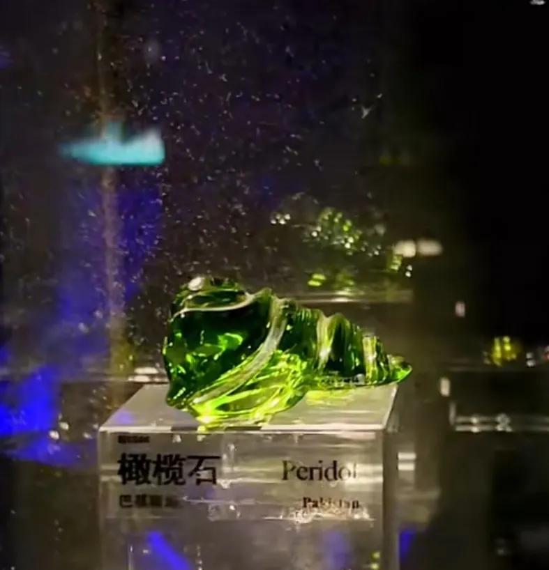 中国地质博物馆藏宝图,国家地质博物馆藏品