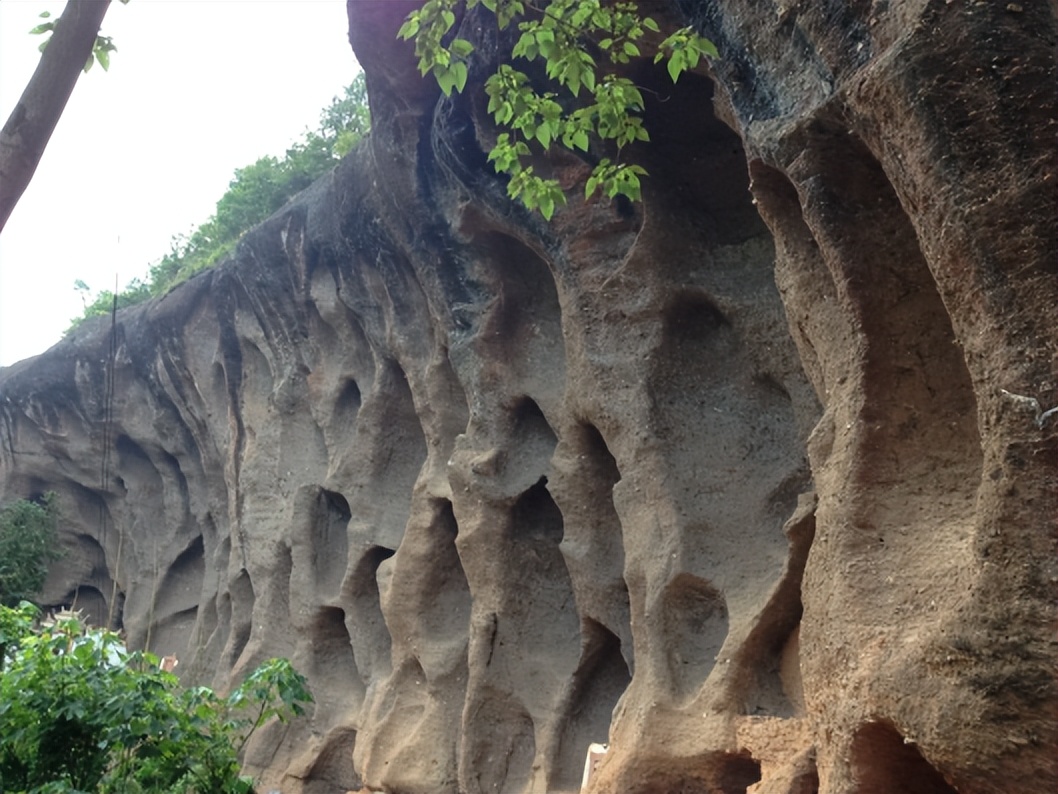 七年级上册地理基础选择题汇编,专题突破七年级理科综合模拟题