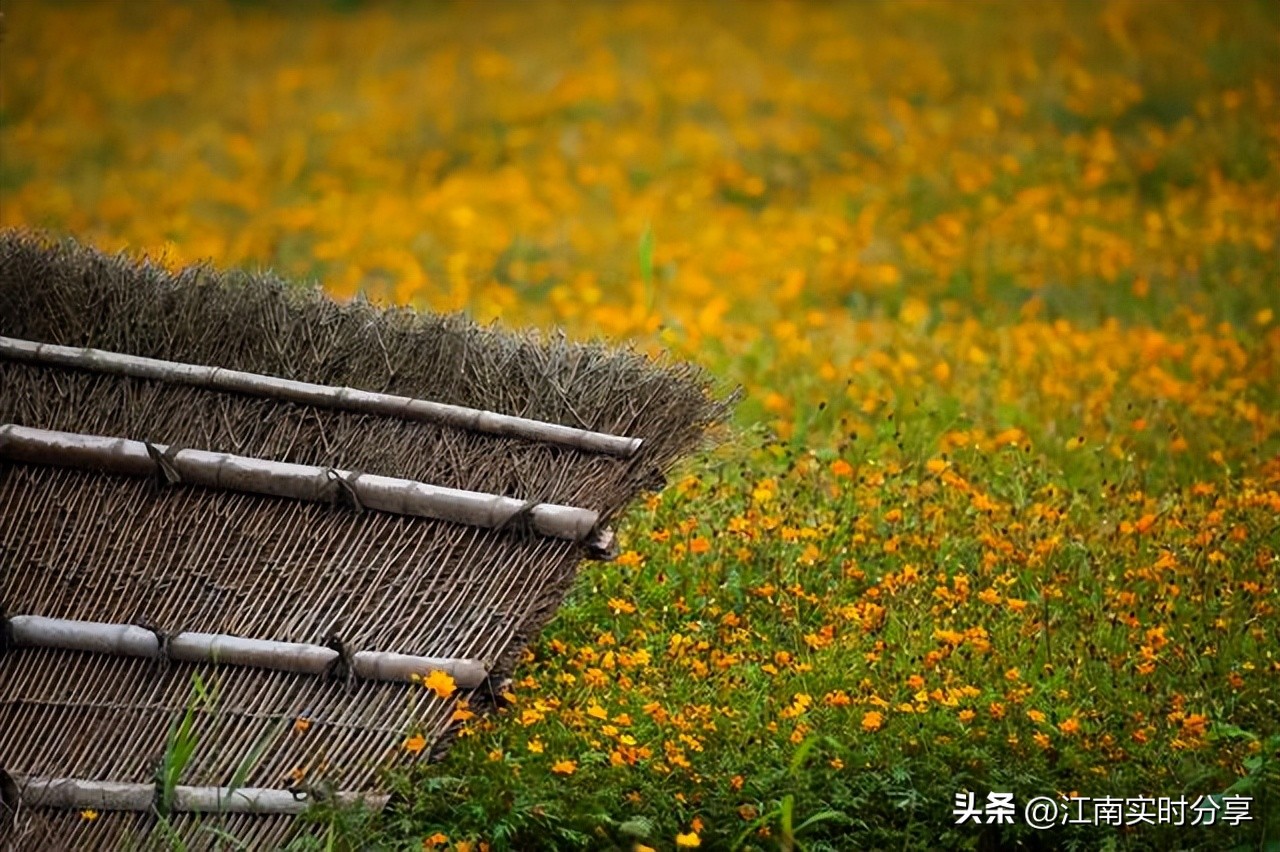 二月份上海游玩攻略必去的地方,上海春天周边一日游最好的地方