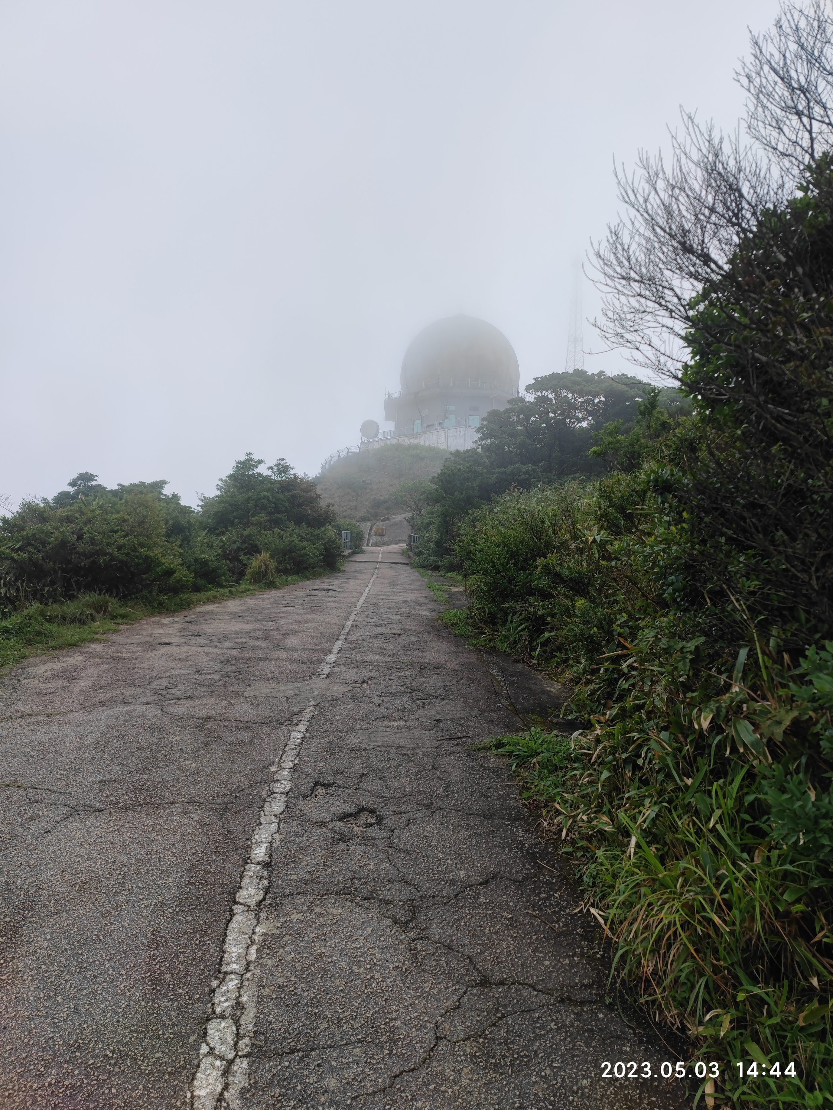徒步香港大帽山,香港麦径徒步攻略