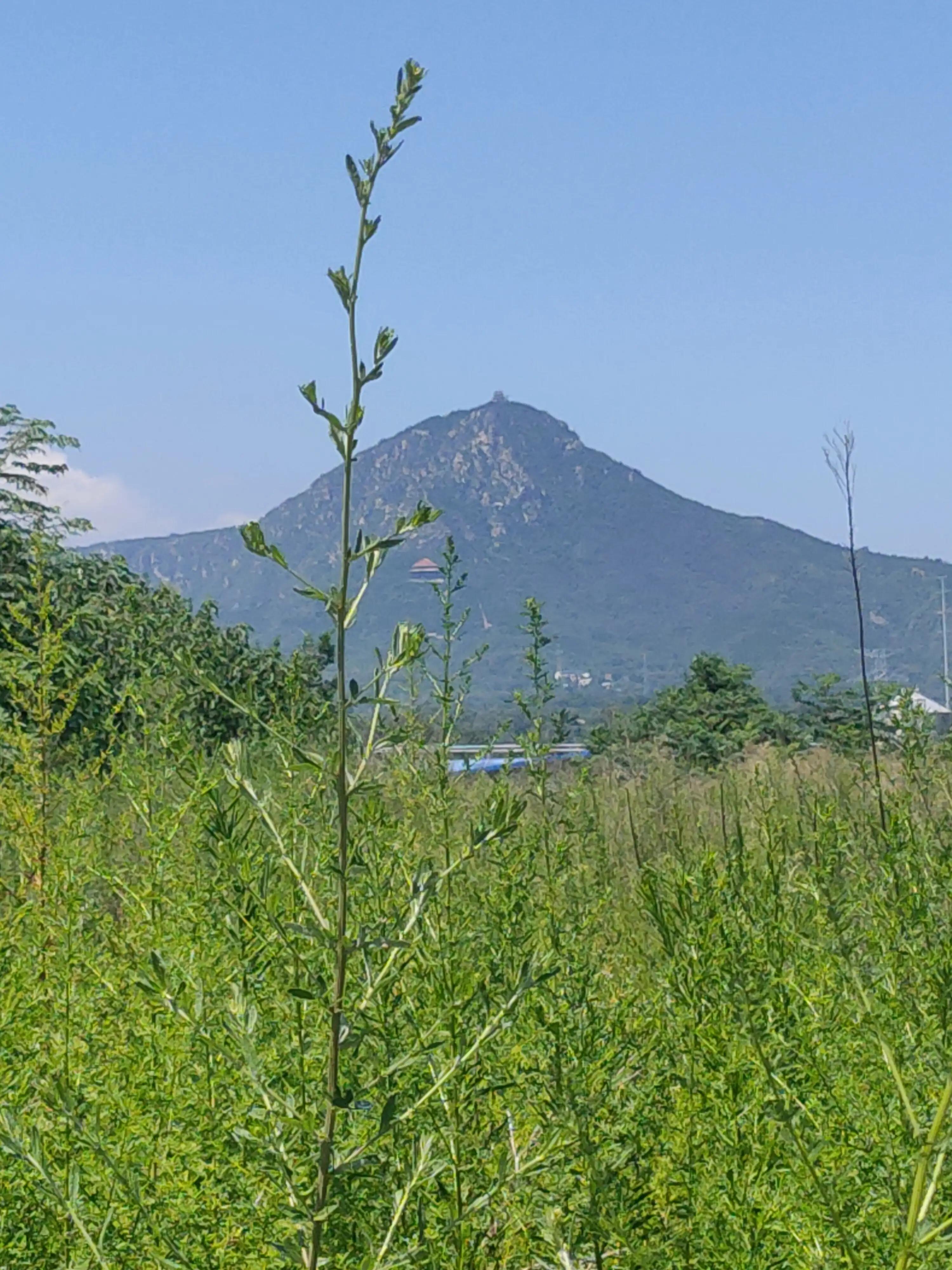 史庄村“五星”支部创建七律/李清民中华诗词学会会员