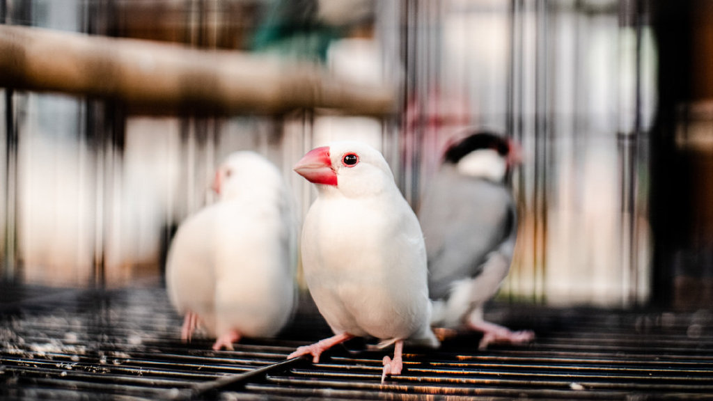 广州南沙海边度假酒店,广州南沙海滩最好的酒店