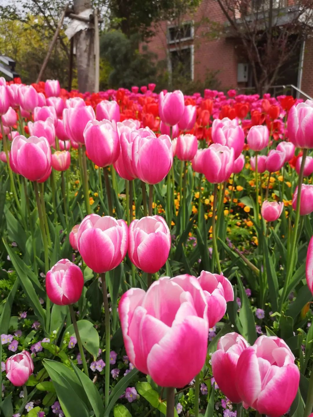 错过了一个秋天,错过了一个春秋