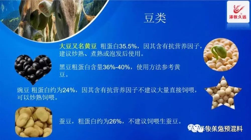豆粕暴涨严重影响养猪业,豆粕疯涨能用什么替代