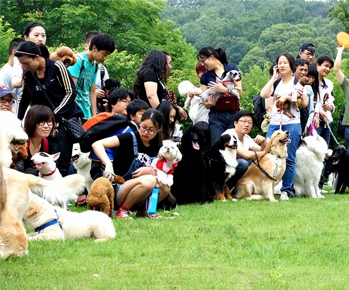 养狗对抑郁症有什么好处和坏处,养狗的4大好处