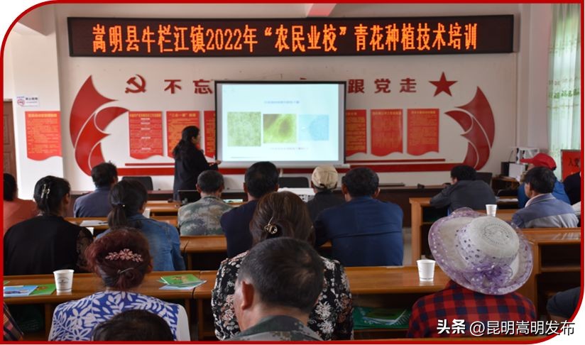 讲好荒田“农”故事铭记*党**的“浓”恩情