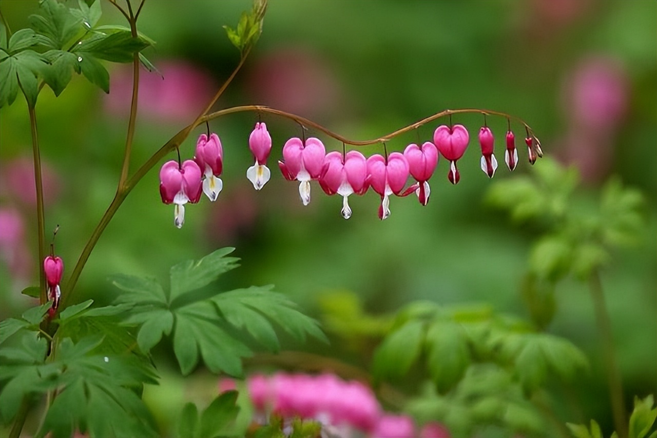 楞严经对人生的帮助,楞严经中说盲人