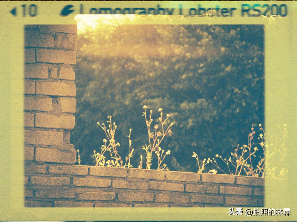 110胶卷/相机保姆级教程/相机选择/胶卷选择/冲扫店铺/实拍样片