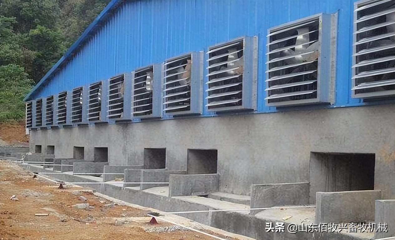 旧猪场改造封闭,闲置猪场改造什么最合适